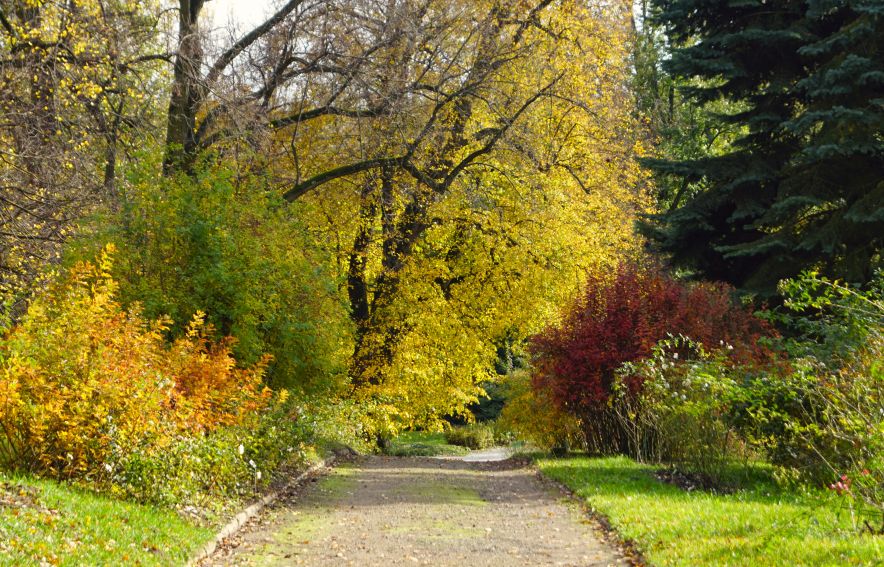 03. Barwy Jesieni – Ogród Botaniczny